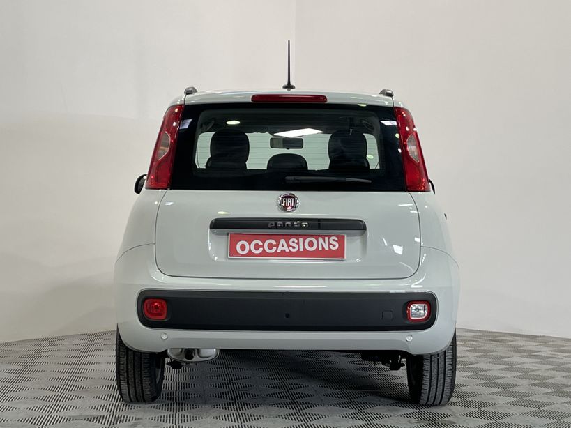 FIAT PANDA 2020 - Photo n°6