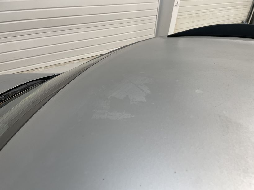 DACIA SPRING 2021 - Photo n°4