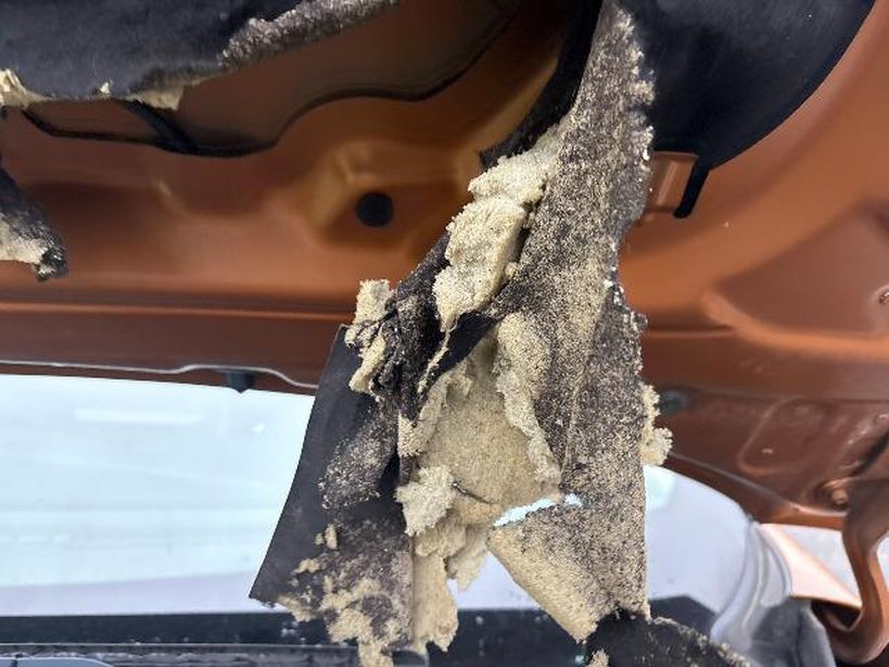 RENAULT CAPTUR 2021 - Photo n°2