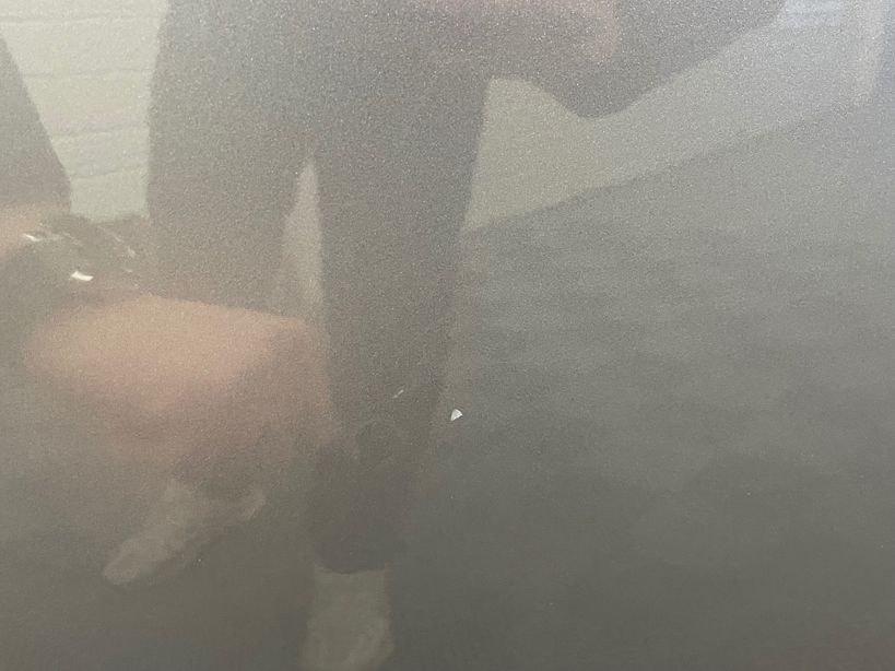 PEUGEOT 3008 2024 - Photo n°4