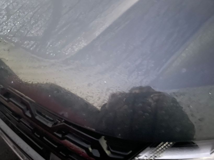 DACIA SANDERO 2022 - Photo n°1