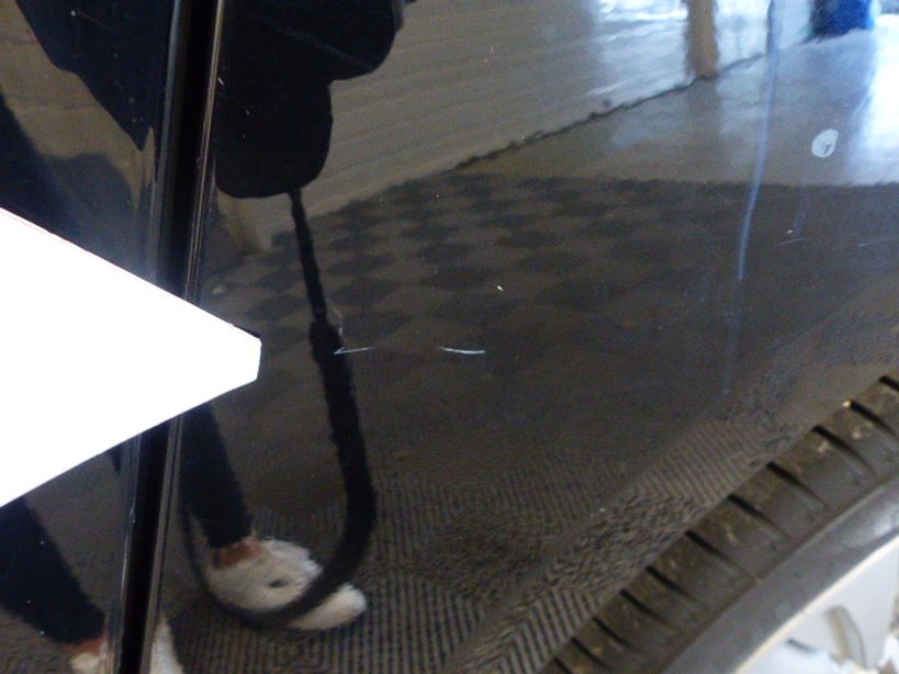 CITROEN DS4 2015 - Photo n°5