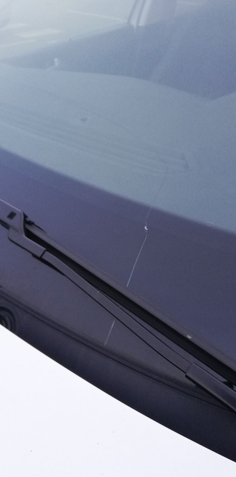 PEUGEOT 308 2020 - Photo n°6