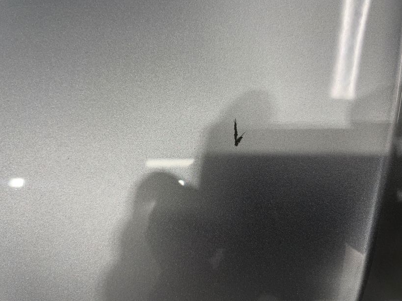 VOLKSWAGEN POLO 2023 - Photo n°10