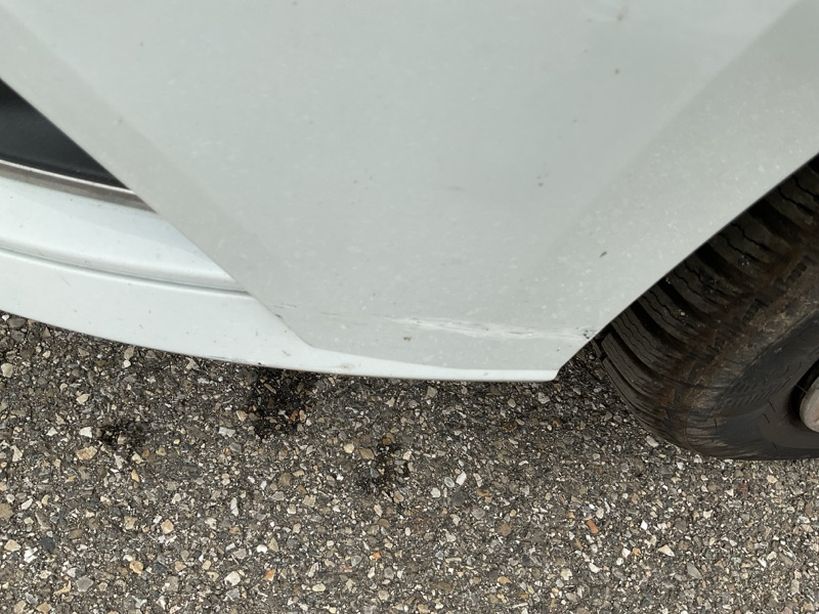 RENAULT MEGANE IV BERLINE BUSINESS 2019 - Photo n°11