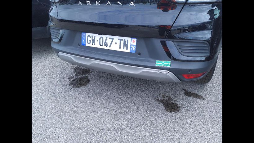 RENAULT ARKANA 2024 - Photo n°5