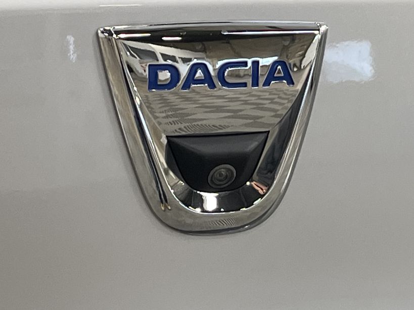 DACIA SPRING 2020 - Photo n°45