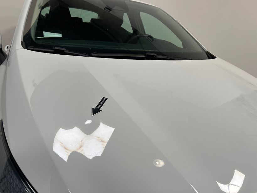 RENAULT CLIO V 2020 - Photo n°21