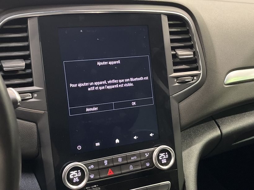 RENAULT MEGANE IV ESTATE 2020 - Photo n°15