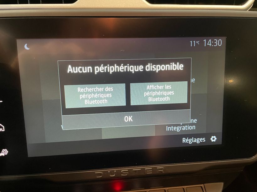 DACIA DUSTER 2023 - Photo n°19