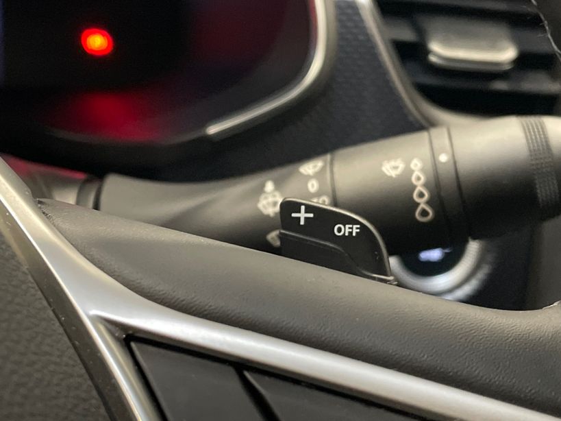 RENAULT ARKANA 2024 - Photo n°29