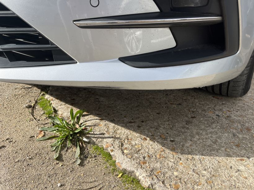 RENAULT MEGANE IV ESTATE 2021 - Photo n°3