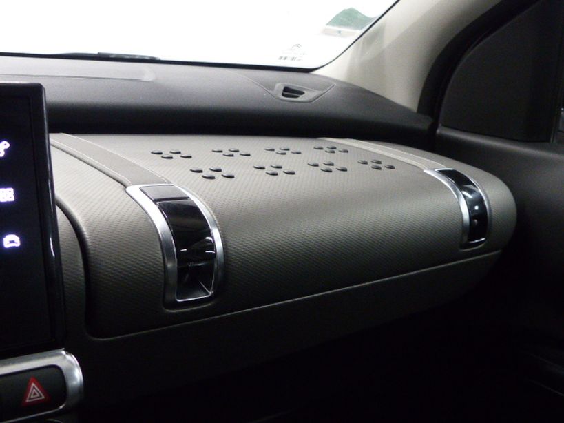 CITROEN C4 CACTUS 2020 - Photo n°19