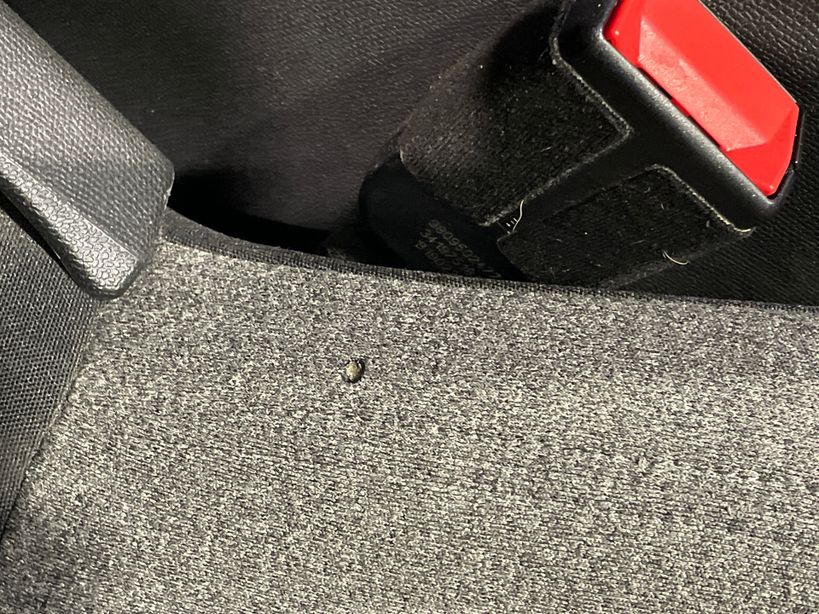 CITROEN C5 AIRCROSS 2022 - Photo n°9