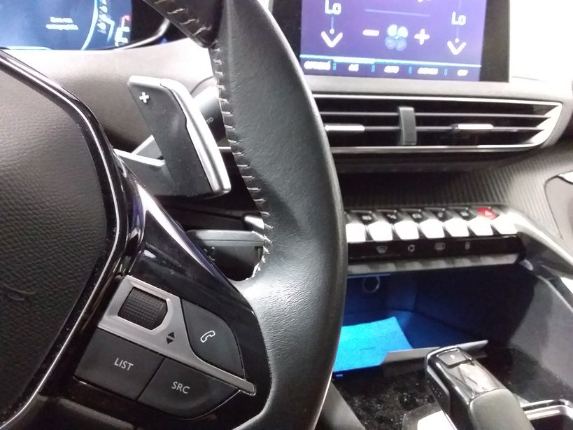 PEUGEOT 3008 BUSINESS 2019 - Photo n°23