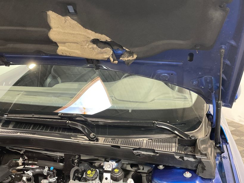 RENAULT MEGANE IV BERLINE 2022 - Photo n°22