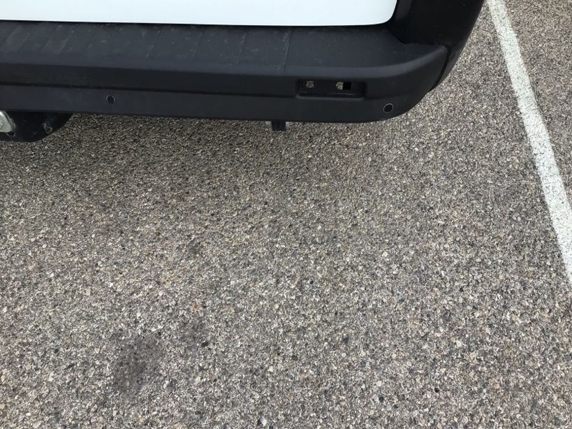 RENAULT TRAFIC III MINIBUS 2020 - Photo n°2