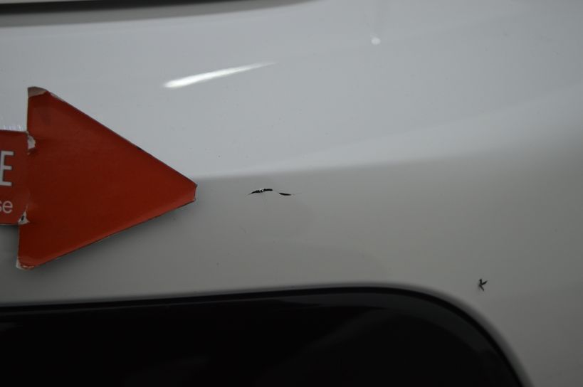 PEUGEOT 208 BUSINESS 2020 - Photo n°7