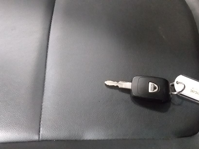 DACIA SPRING 2021 - Photo n°1