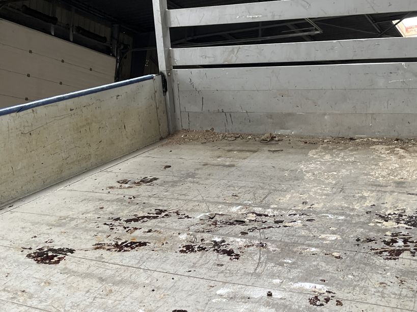 FORD TRANSIT CHASSIS DOUBLE CABINE 2019 - Photo n°26