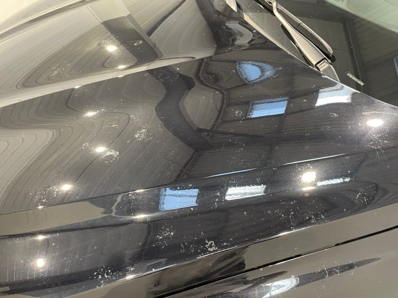 RENAULT ARKANA 2024 - Photo n°13