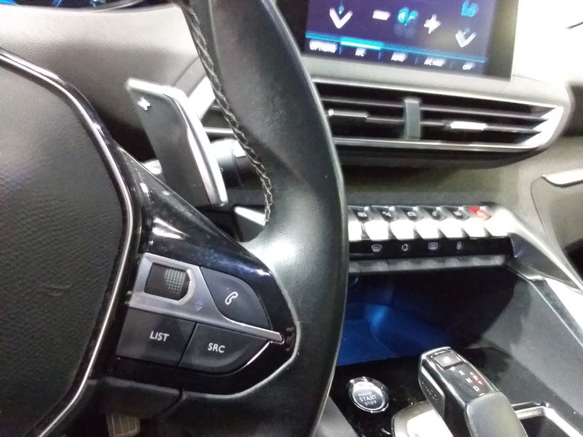 PEUGEOT 3008 2019 - Photo n°23