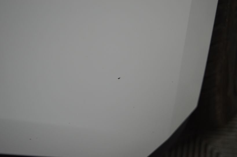 RENAULT GRAND SCENIC IV 2019 - Photo n°8