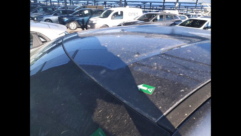 RENAULT ARKANA 2023 - Photo n°3