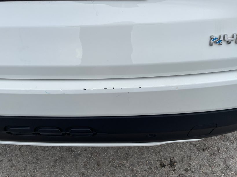 FIAT 600 2025 - Photo n°6