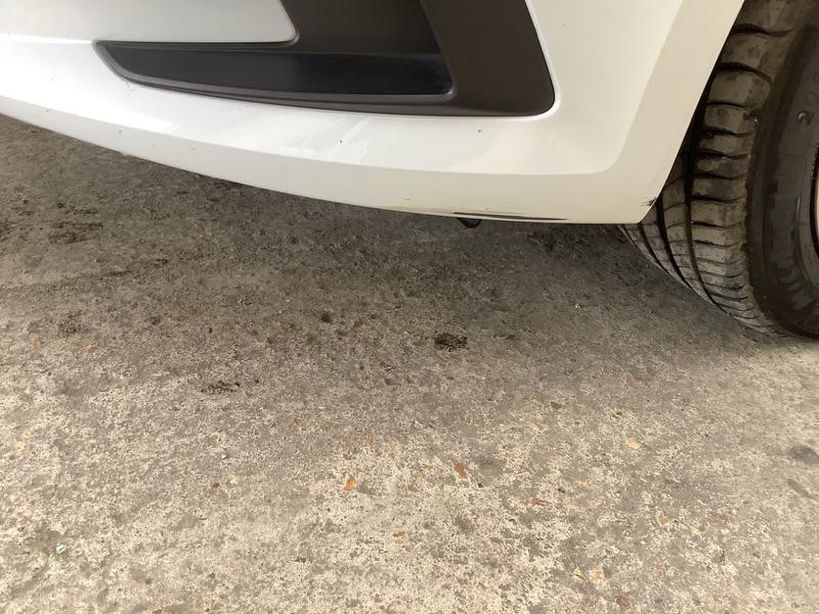 RENAULT MEGANE IV ESTATE 2021 - Photo n°5