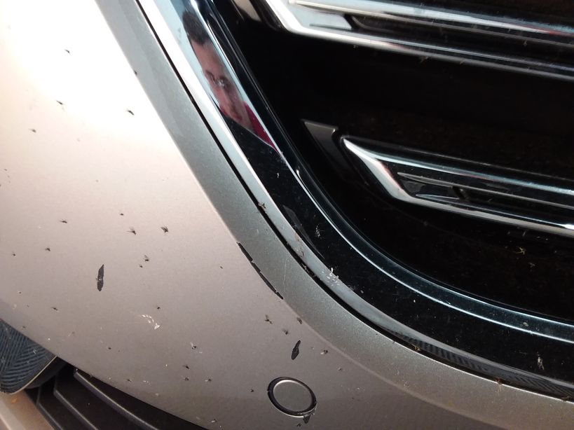 RENAULT TALISMAN 2019 - Photo n°3