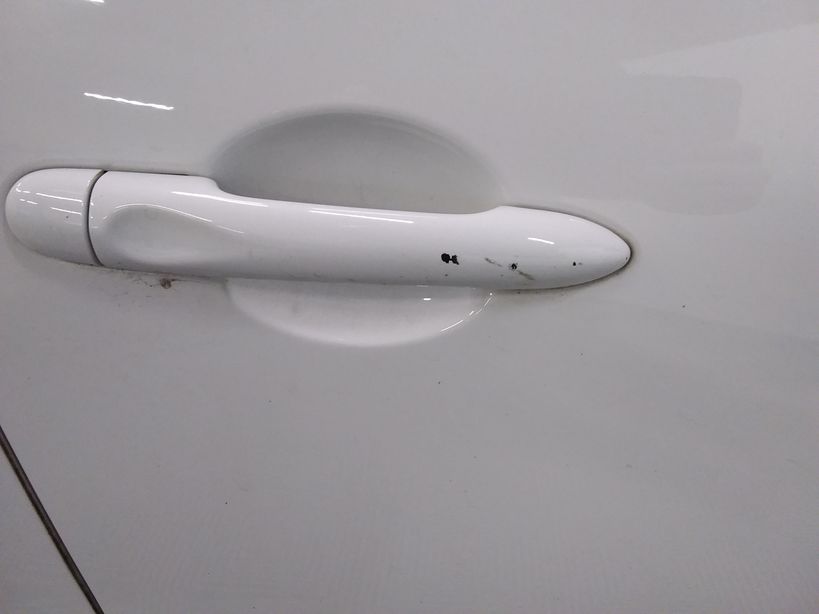 RENAULT CLIO IV ESTATE BUSINESS 2019 - Photo n°2