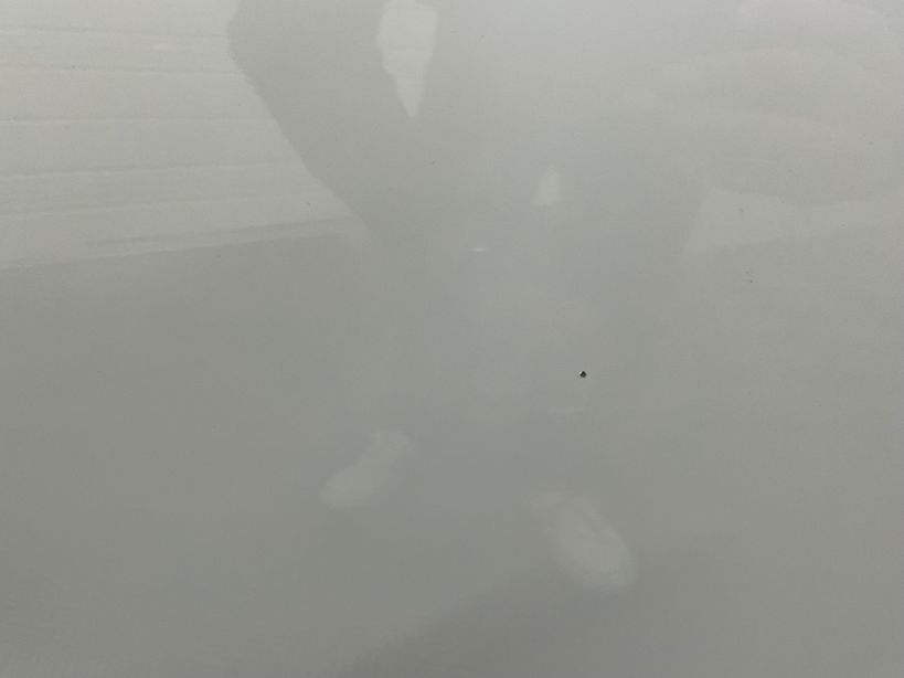 RENAULT CLIO V 2021 - Photo n°8