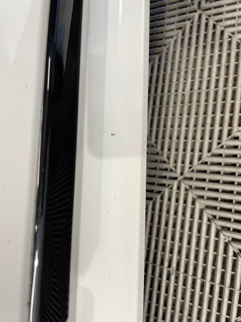 TOYOTA COROLLA HYBRIDE MY21 2022 - Photo n°5