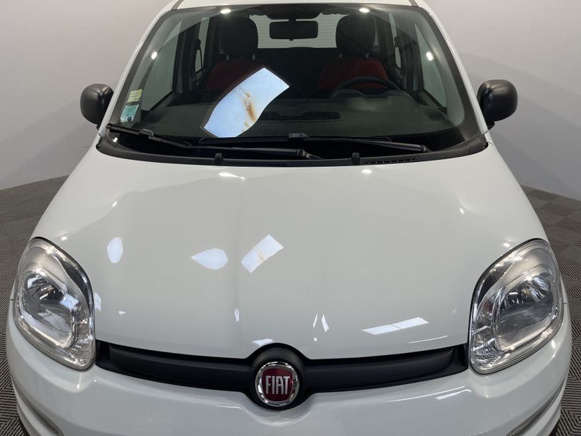 FIAT PANDA 2019 - Photo n°6