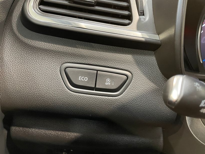 RENAULT KADJAR 2021 - Photo n°20