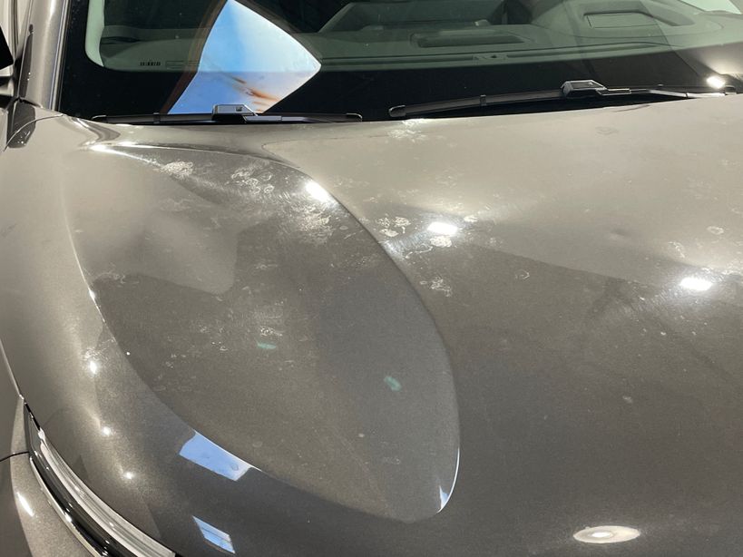 CITROEN C4 2024 - Photo n°2