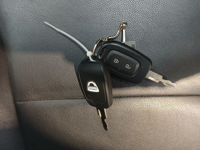 DACIA SPRING 2020 - Photo n°8