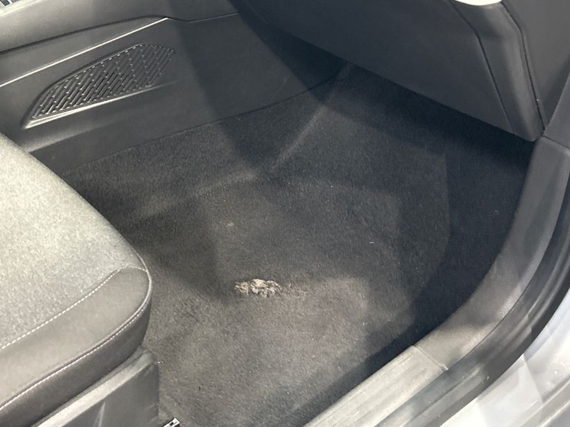 RENAULT CLIO V 2023 - Photo n°1