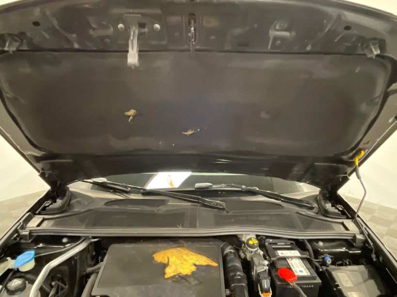 PEUGEOT 308 2023 - Photo n°5