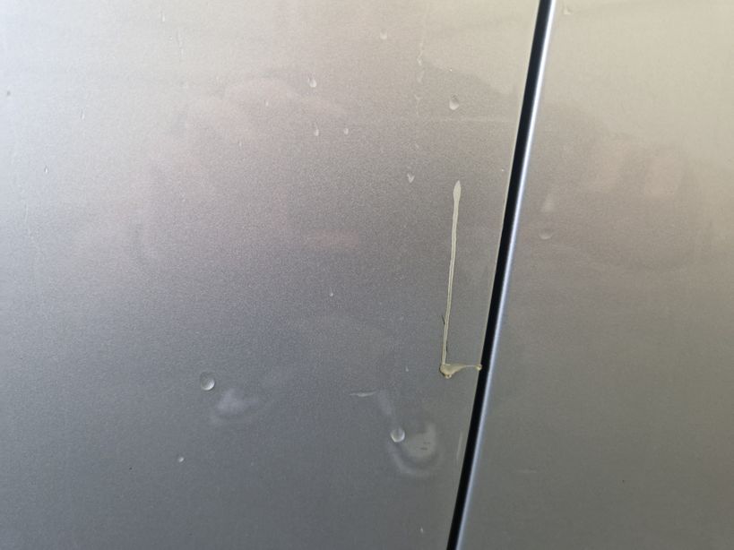 RENAULT CLIO V 2023 - Photo n°3