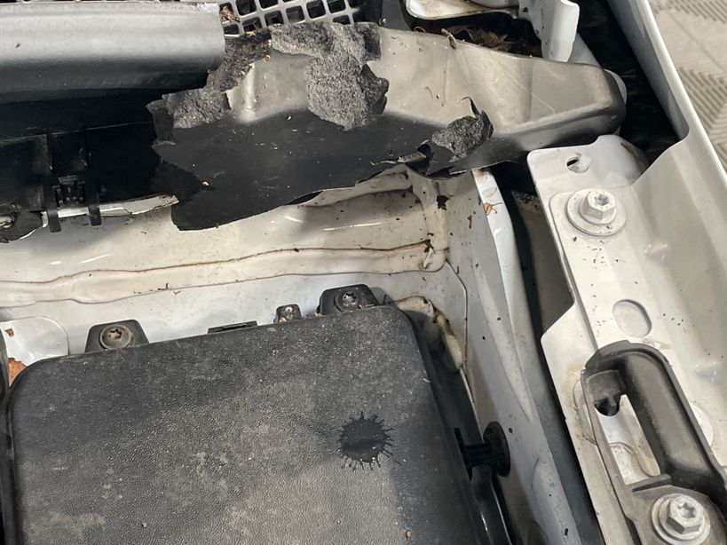 RENAULT KANGOO VAN 2023 - Photo n°11