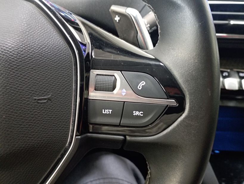 PEUGEOT 3008 BUSINESS 2019 - Photo n°23