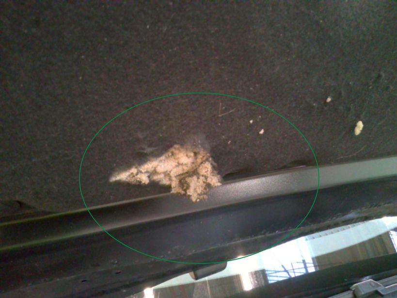 PEUGEOT 208 2024 - Photo n°2