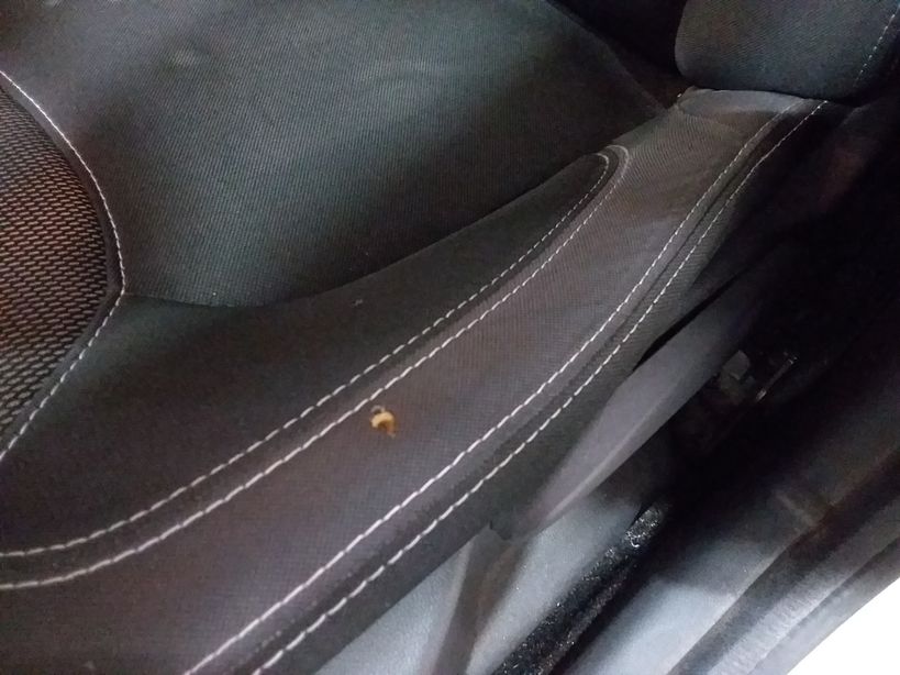 RENAULT CLIO IV ESTATE BUSINESS 2019 - Photo n°7