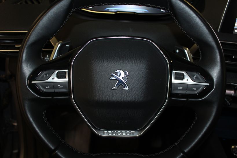 PEUGEOT 3008 2019 - Photo n°18