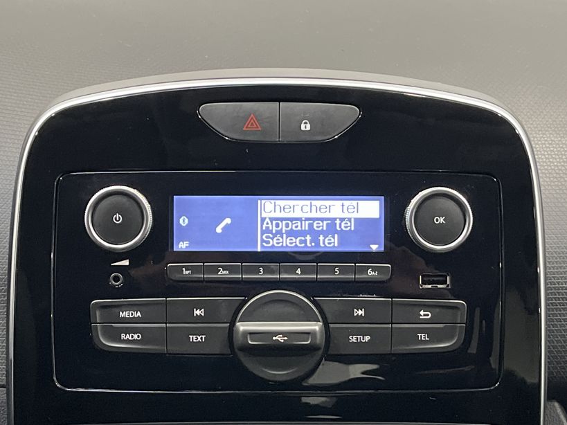 RENAULT CLIO IV SOCIETE 2019 - Photo n°13