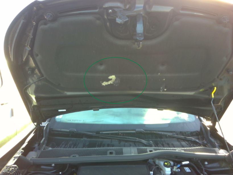 PEUGEOT 2008 2024 - Photo n°1