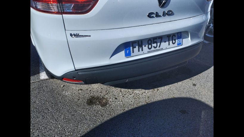 RENAULT CLIO IV ESTATE BUSINESS 2019 - Photo n°1