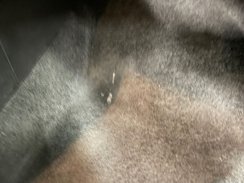 CITROEN C4 2024 - Photo n°5